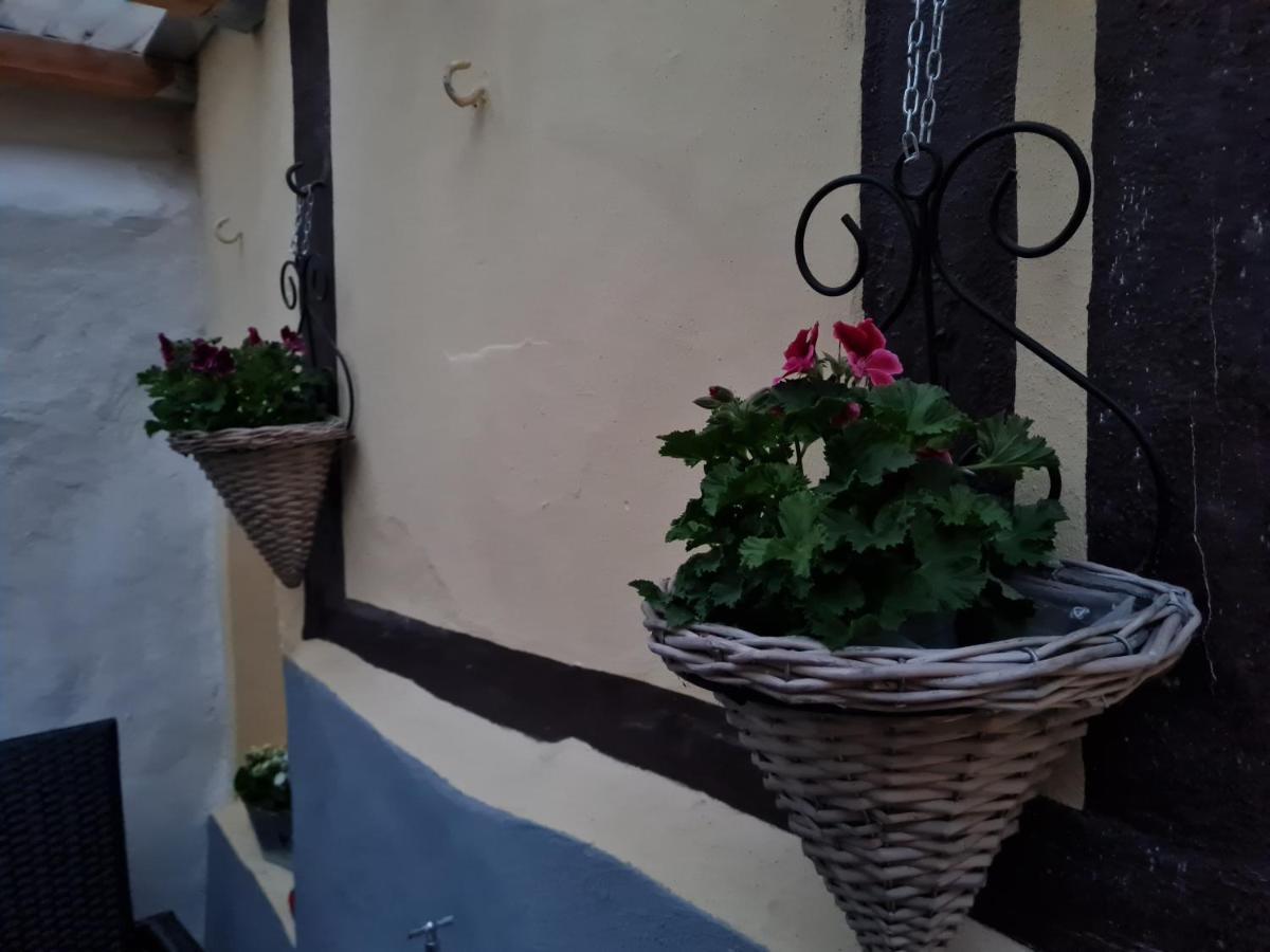 Ferienhaus Schatzliebe เควดลินบวร์ก ภายนอก รูปภาพ
